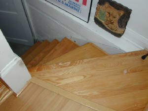 dscn0228.jpg